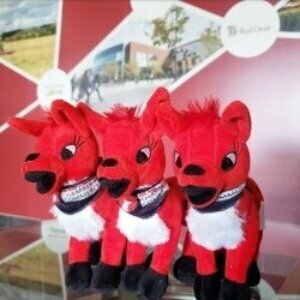 Turn Your Brand Into Stuffed Animals | Stuffed Animal Pros