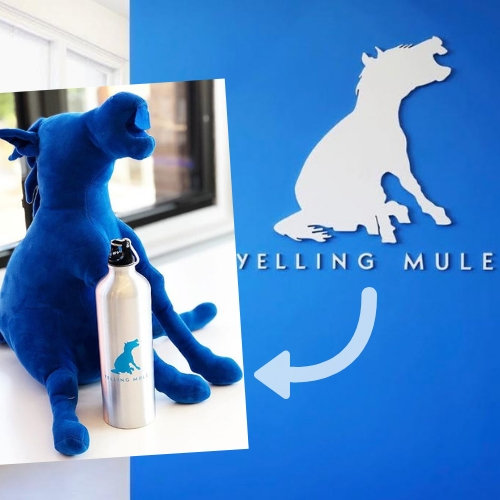 Turn Your Brand Into Stuffed Animals | Stuffed Animal Pros
