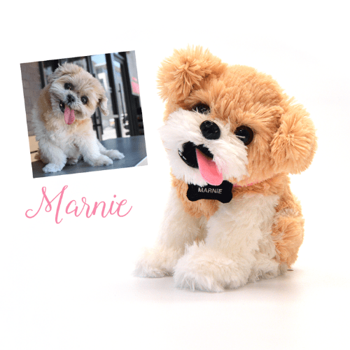 custom stuffed animal of your dog